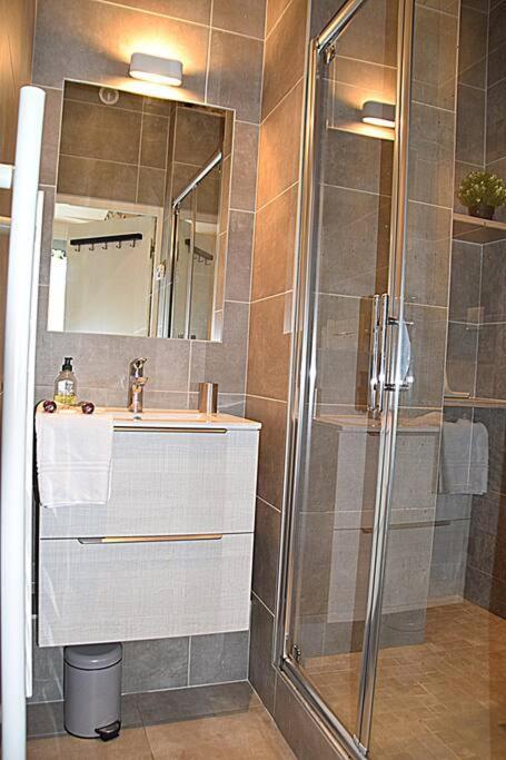 Le Jaures, Logement D'Exception グルノーブル エクステリア 写真