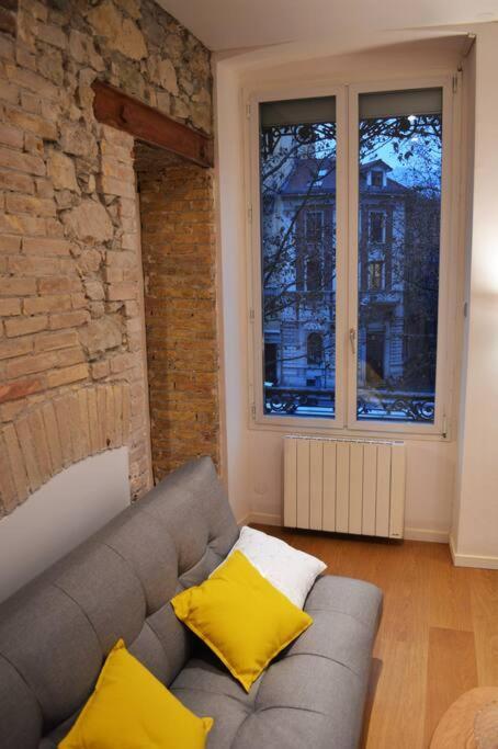 Le Jaures, Logement D'Exception グルノーブル エクステリア 写真